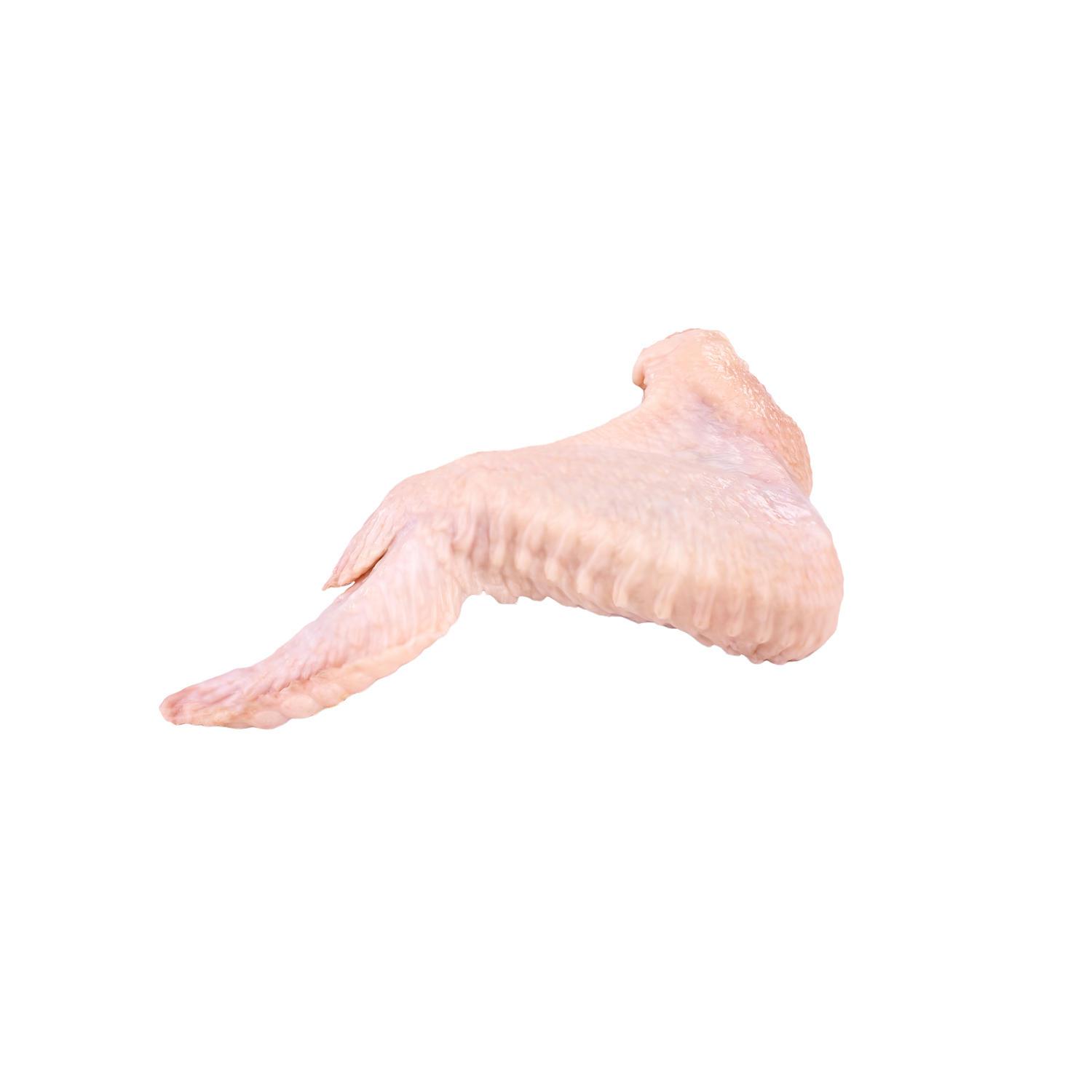 Raw chicken wings  isolated on white background, delicious, natural