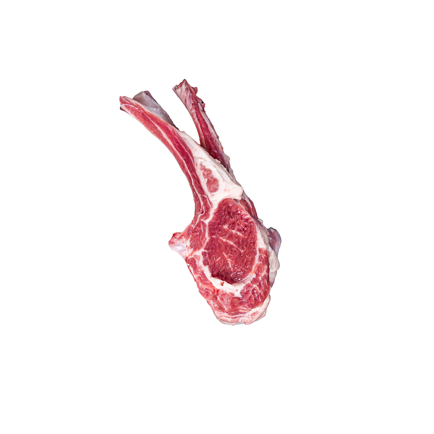 Uncooked lamb mutton chops, raw meat steaks.  Isolated, white background