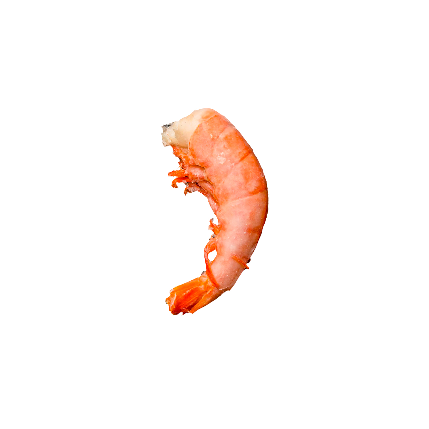 COLA_GAMBON_CONPIEL