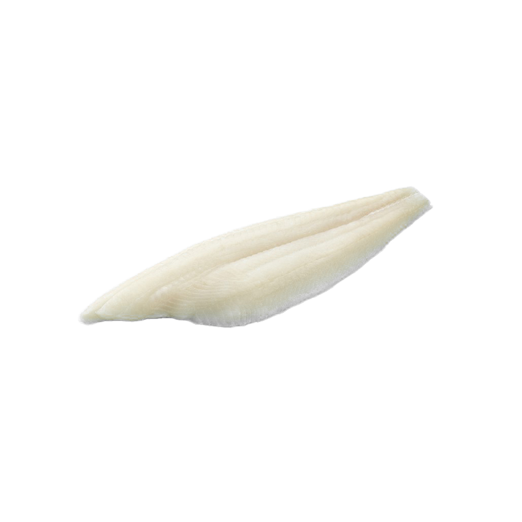 FILETE_FLETÁN