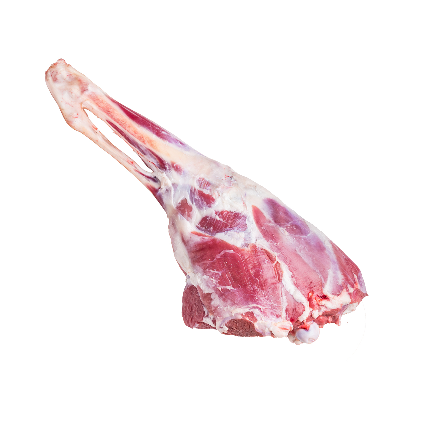 Whole raw lamb leg, uncooked mutton meat on butcher board isolated on white background. top view.