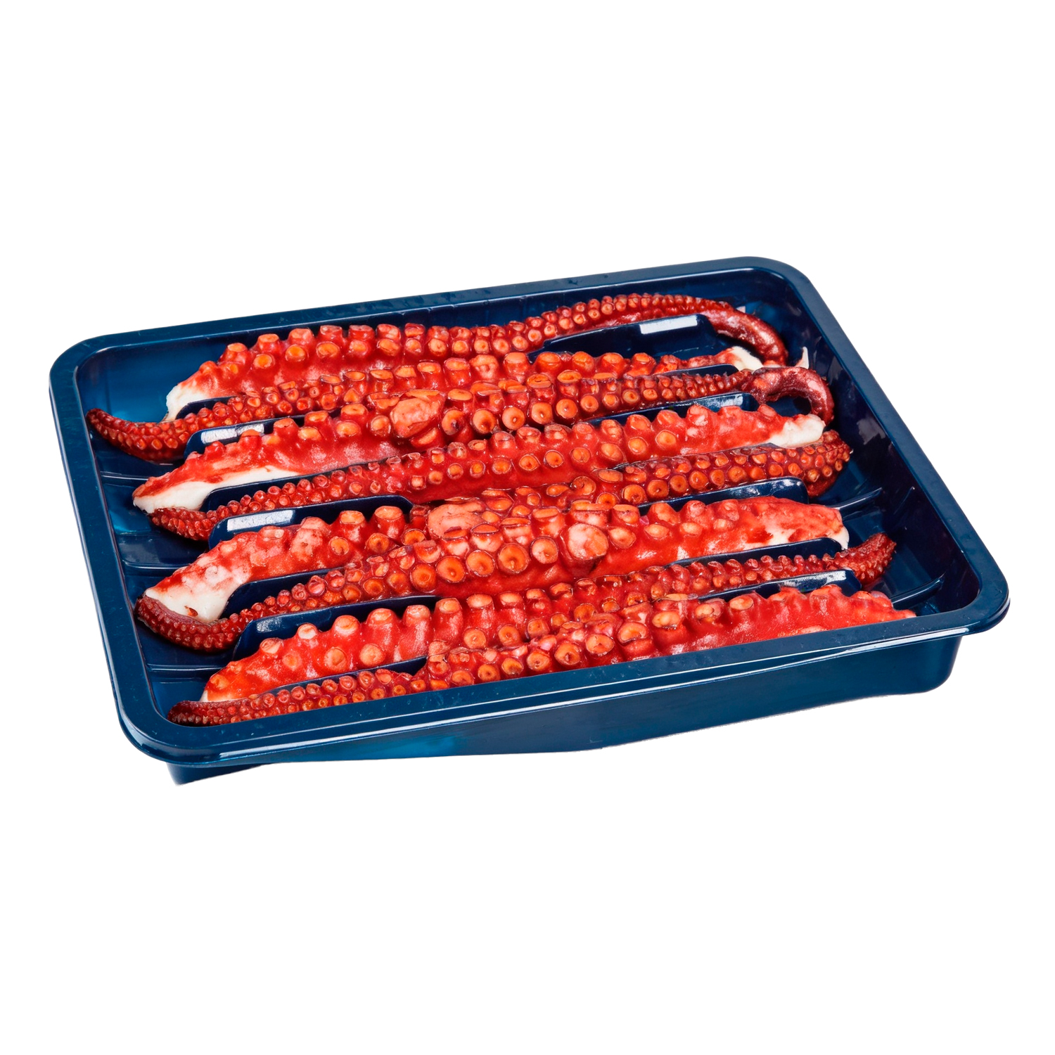 PULPO_COCIDO copia