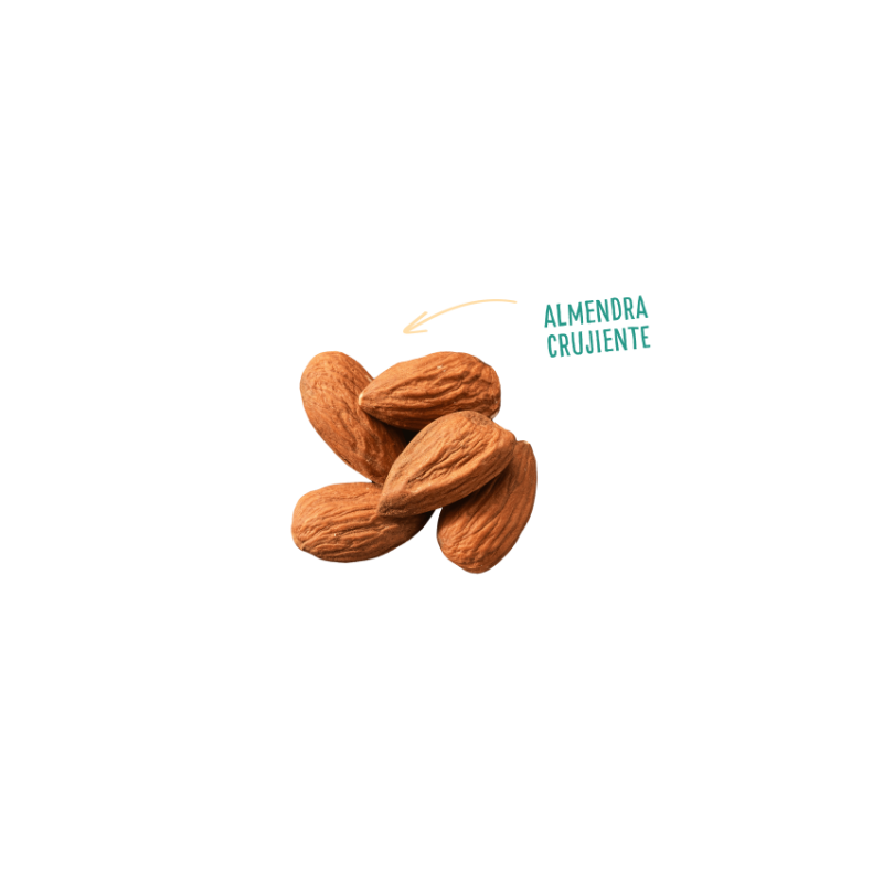 BELFRIO_NUII_ALMENDRADO_03